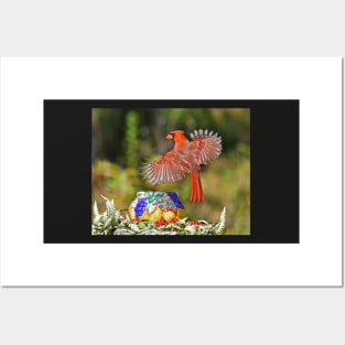 Red Northern Cardinal Bird Wings Flying Posters and Art